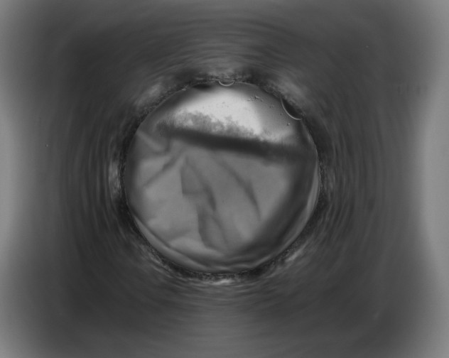 X0000086771106200705041502