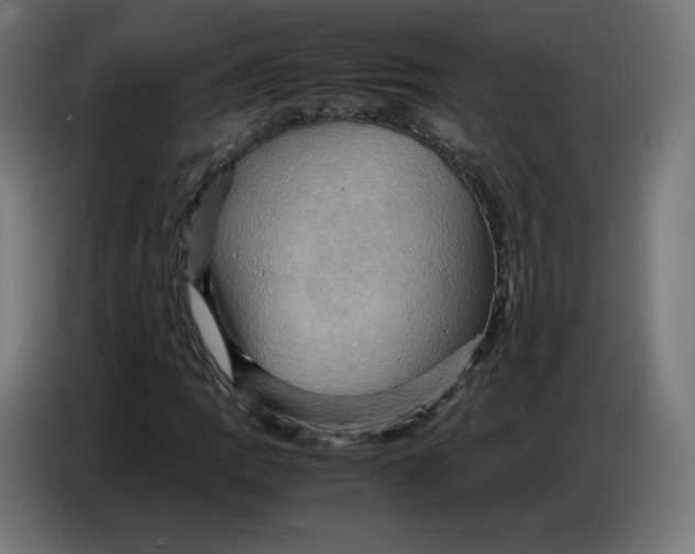 X0000086771109200705041502