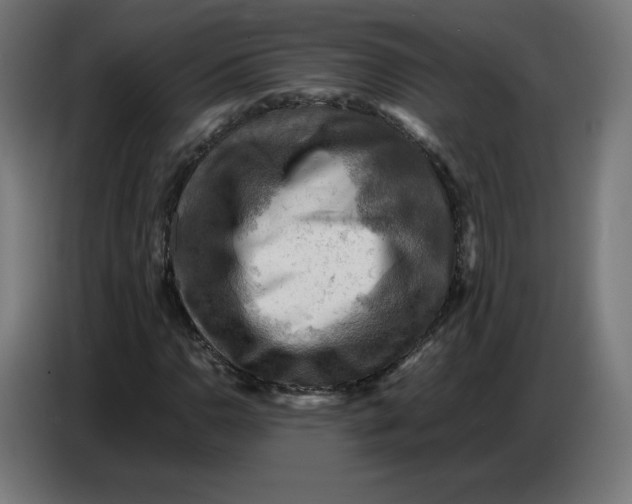 X0000086771110200705041502