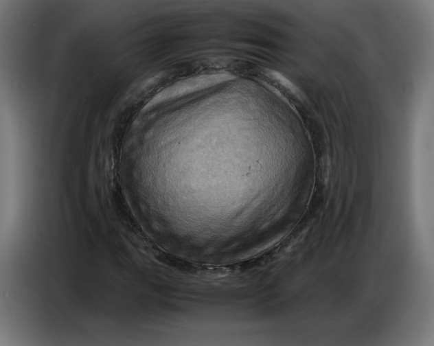 X0000086771111200705041502