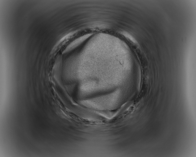 X0000086771112200705041502