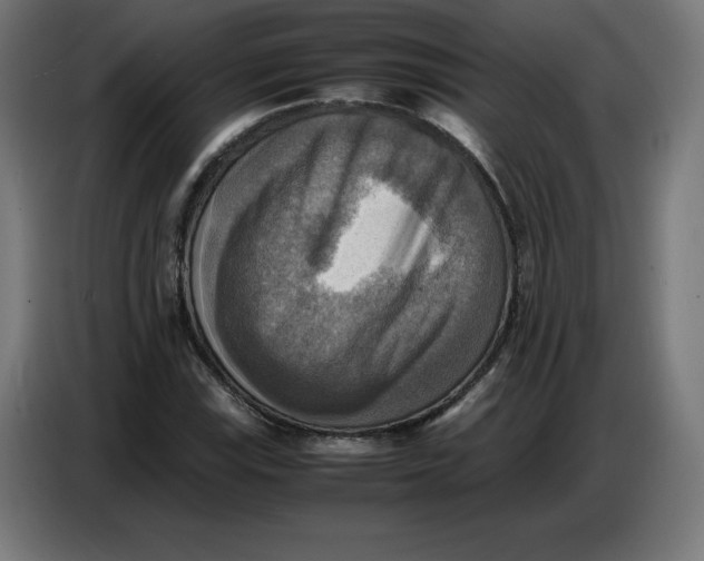 X0000086771115200705041502