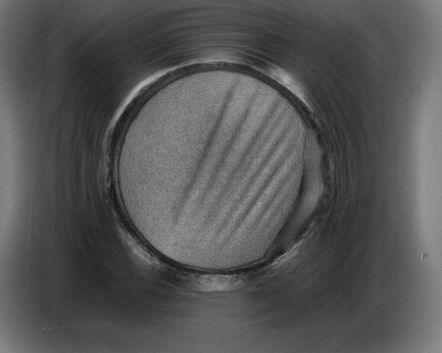 X0000086771116200705041502