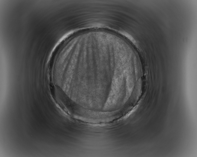 X0000086771118200705041502
