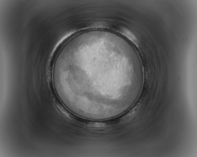 X0000086771119200705041502