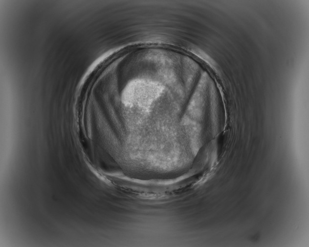 X0000086771120200705041502