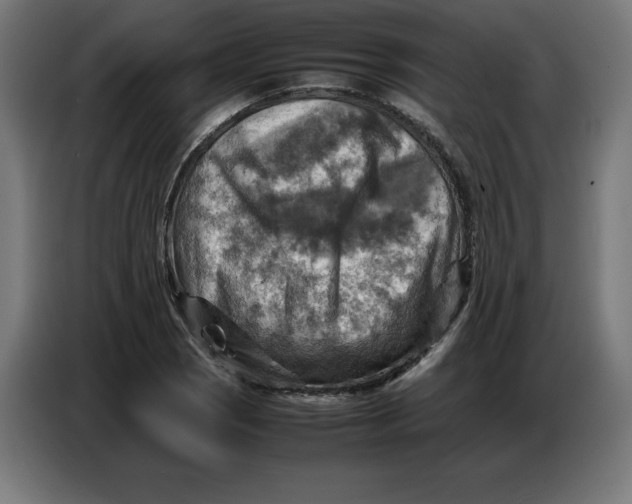 X0000086771121200705041502