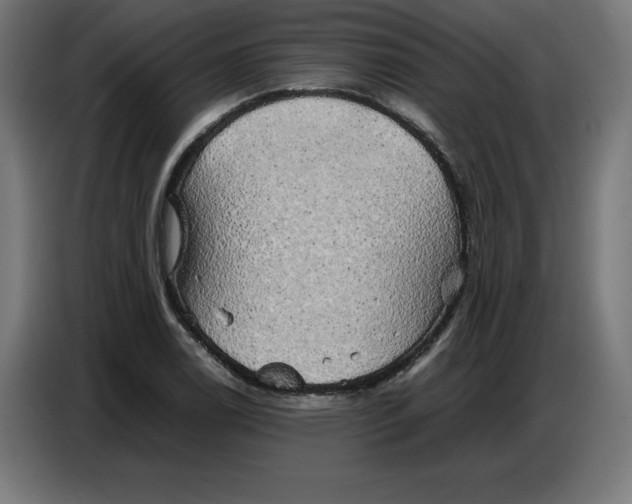X0000086771122200705041502