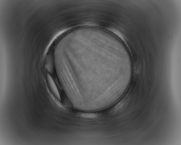 X0000086771123200705041502