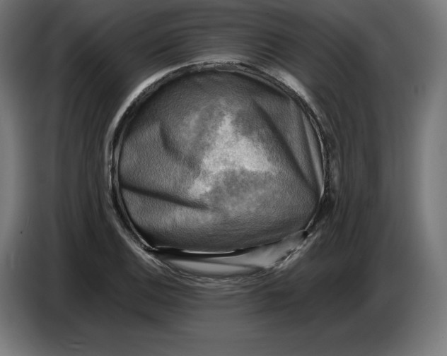 X0000086771124200705041502