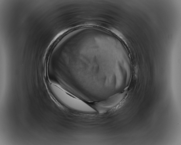 X0000086771127200705041502