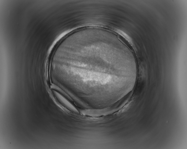X0000086771128200705041503