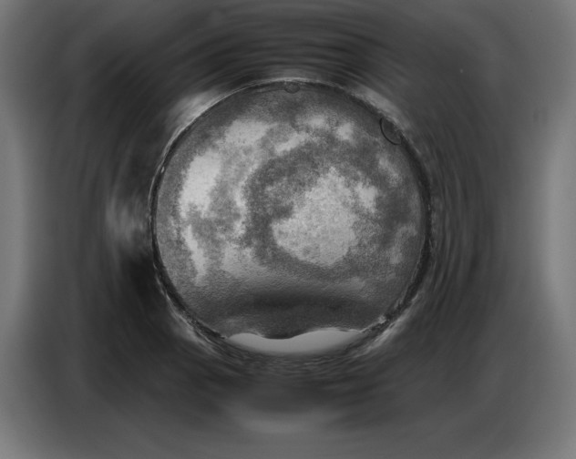 X0000086771129200705041503
