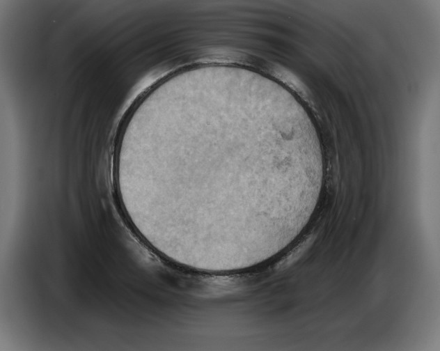 X0000086771130200705041503