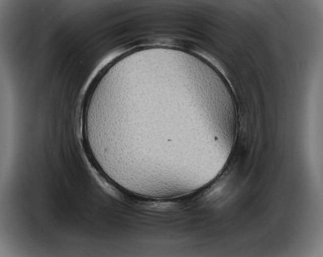 X0000086771131200705041503