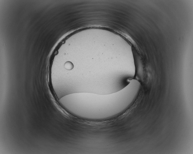 X0000086771132200705041503