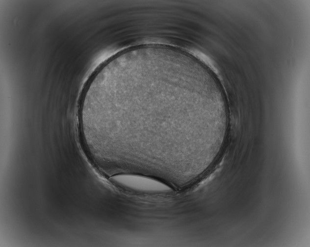 X0000086771133200705041503