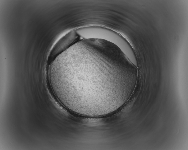 X0000086771134200705041503