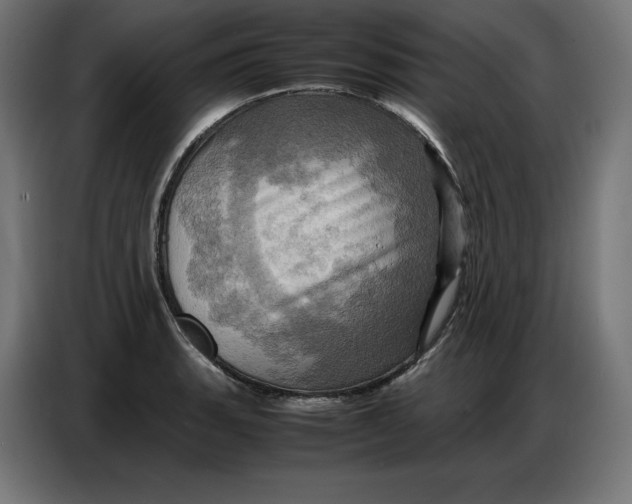X0000086771135200705041503