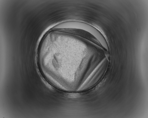 X0000086771136200705041503