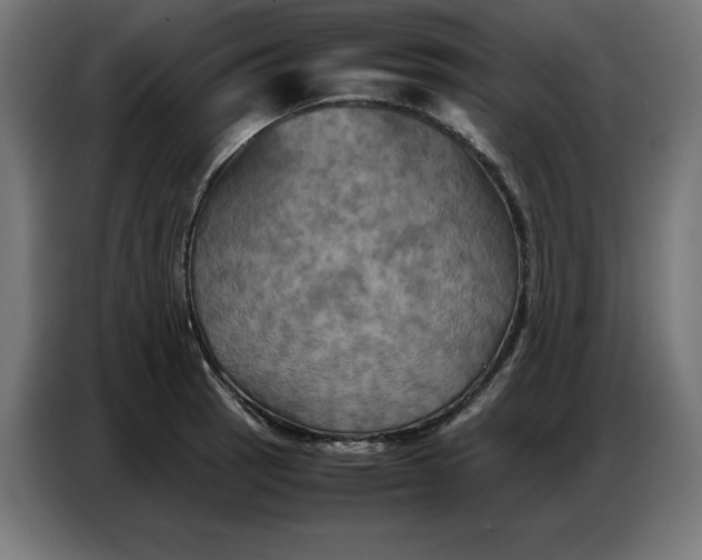 X0000086771137200705041503