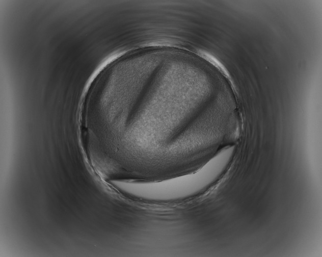 X0000086771138200705041503