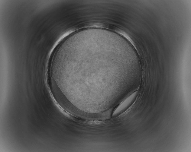 X0000086771139200705041503