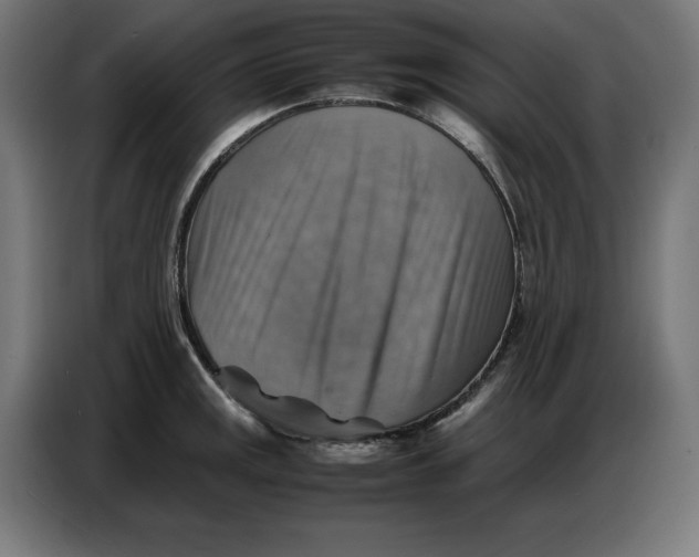 X0000086771141200705041503