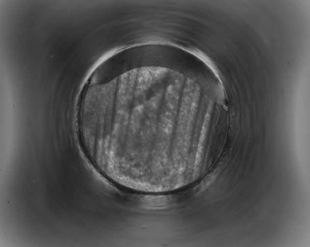 X0000086771142200705041503