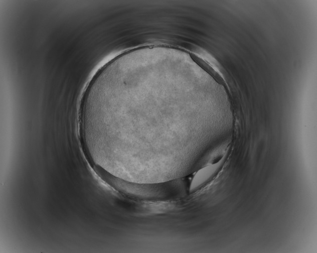 X0000086771143200705041503