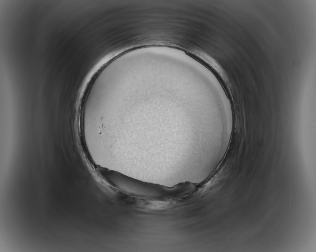 X0000086771144200705041503