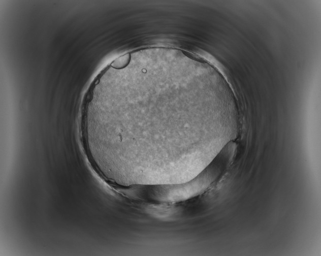 X0000086771147200705041503