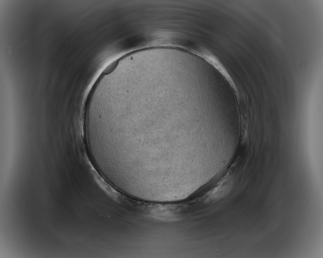 X0000086771148200705041503