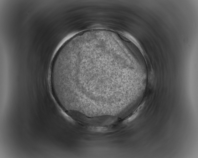X0000086771149200705041503