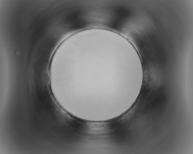 X0000086771150200705041503