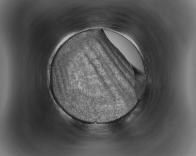 X0000086771151200705041503
