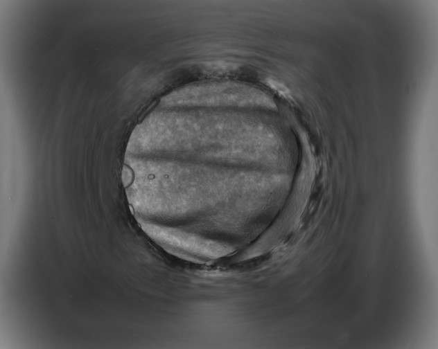 X0000086771153200705041502