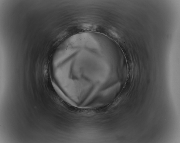 X0000086771154200705041502