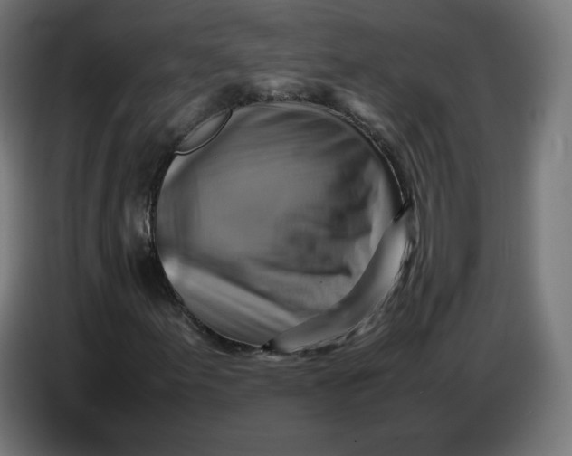 X0000086771155200705041502