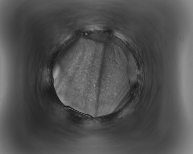 X0000086771156200705041502