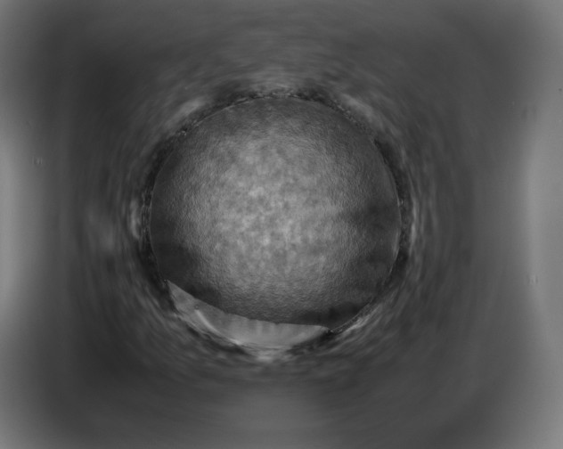 X0000086771157200705041502