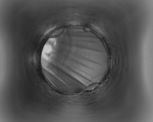 X0000086771158200705041502