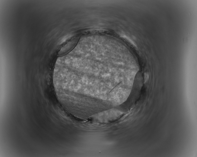 X0000086771159200705041502