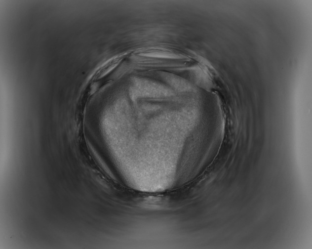 X0000086771160200705041502