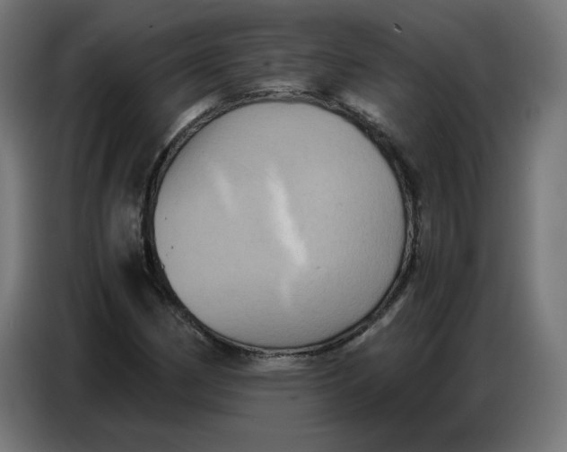 X0000086771162200705041502