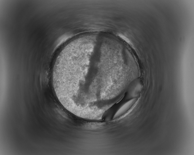 X0000086771163200705041502