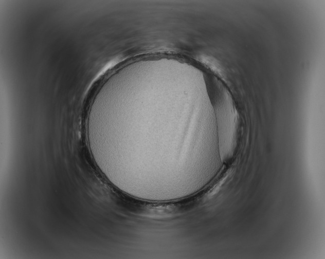X0000086771165200705041502