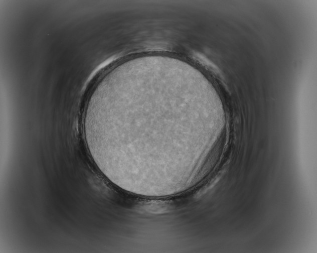 X0000086771166200705041502
