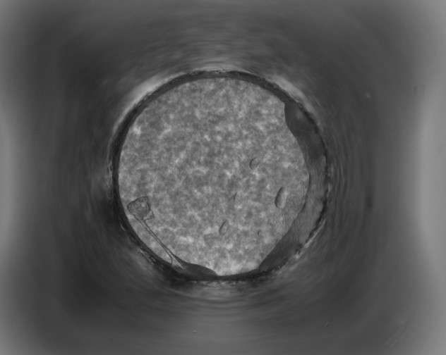 X0000086771167200705041502