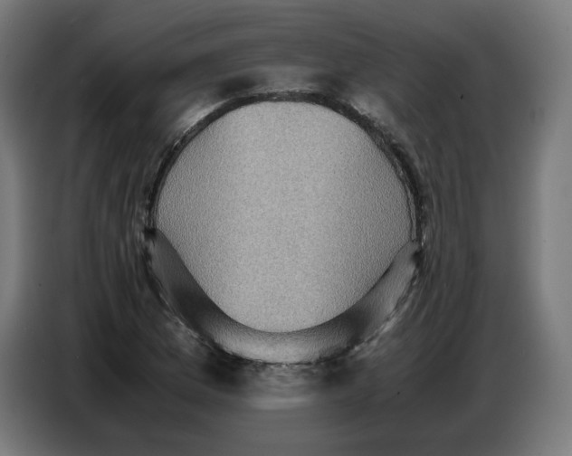 X0000086771169200705041502